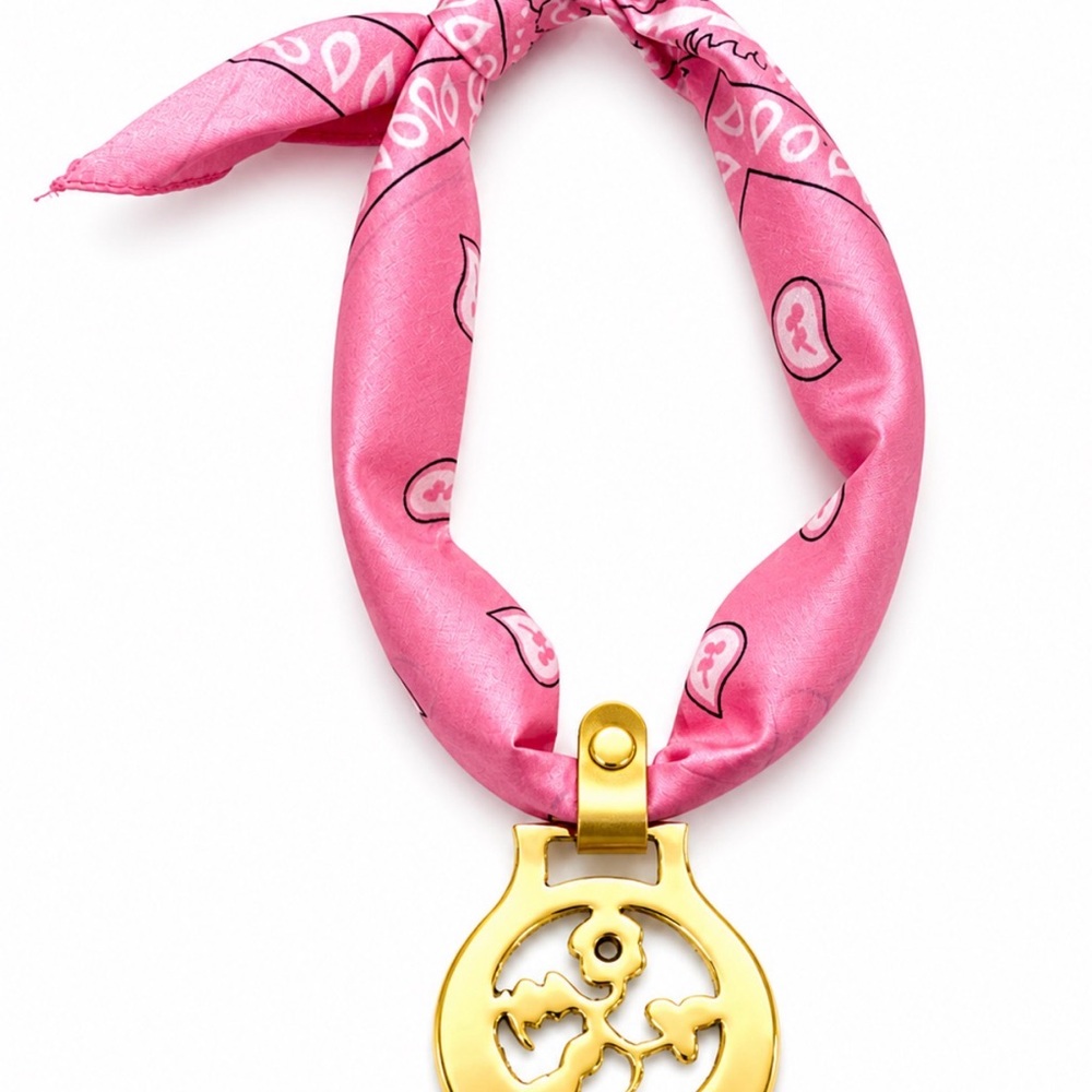 Gold Brass Vintage English horse Medallion necklace. Scarf inner changeable.